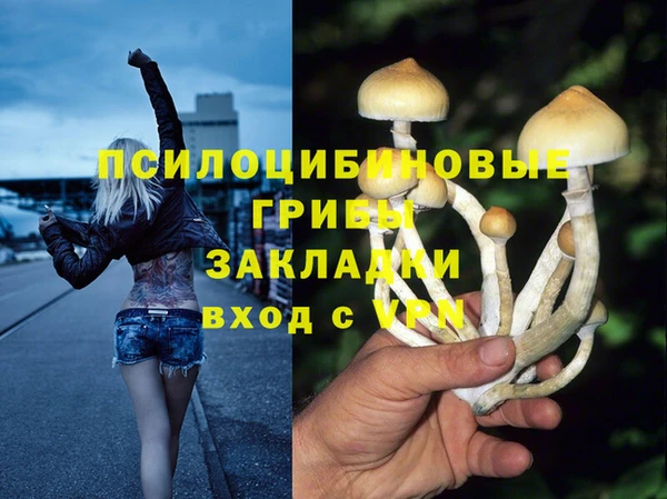 гидра Алексин